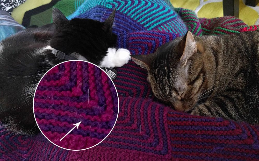 Pets & Nice Things The Cat Hair Edition KnitPicks Staff Knitting Blog