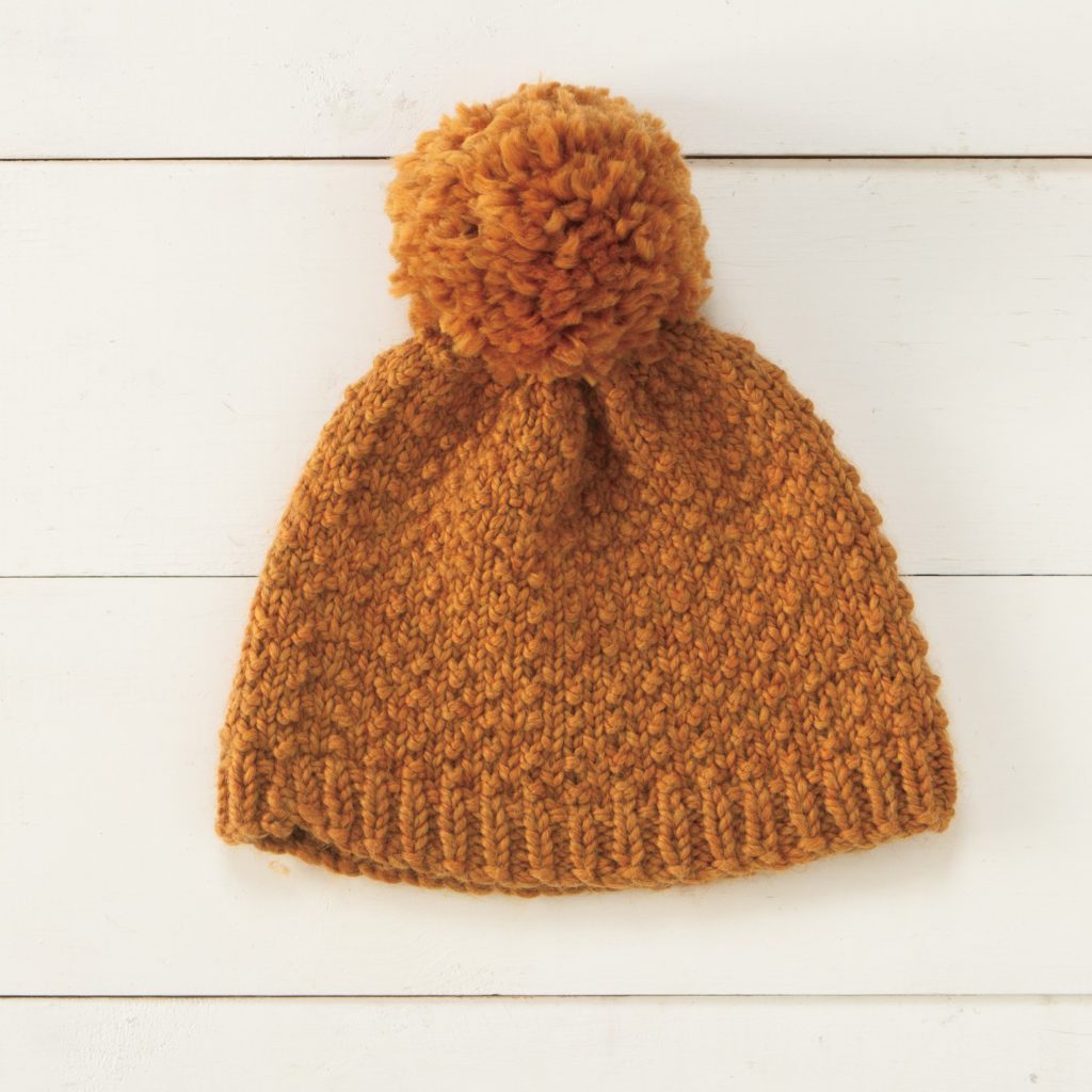 Roscoe's Toque knit in Biggo yarn - Staff Project.